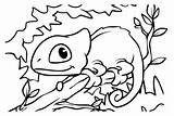 Drawing Chameleon Coloring Page  Free Printable Pages sketch template