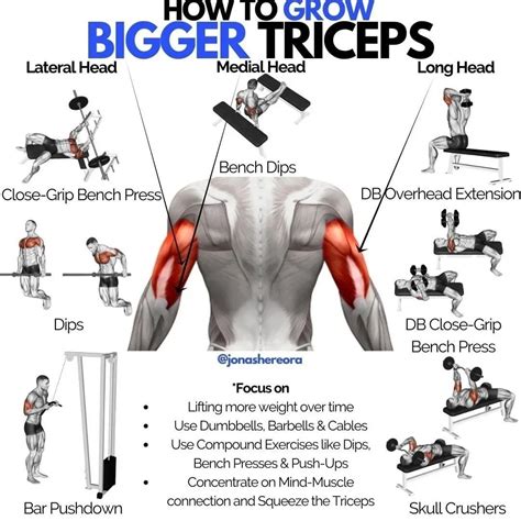 Triceps Workout