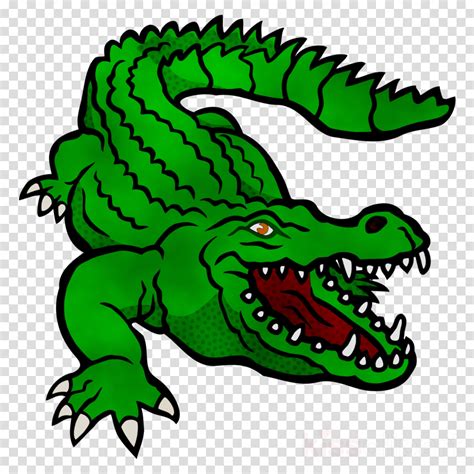Alligators Crocodile Cartoon Png Clipart Alligators A - vrogue.co