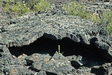 Lava tube (Bonito Lava Flow, upper Holocene, erupted from Sunset Crater ...