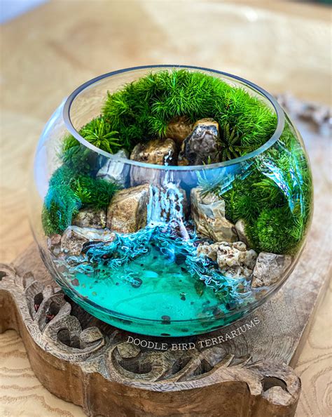 Aquamarine Ocean Cove Waterfall Terrarium with Jungle Green Live Moss 2 Large Sizes