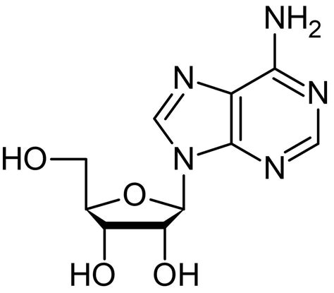 Adenosine, Endogenous P1 receptor agonist (CAS 58-61-7) (ab120498) | Abcam