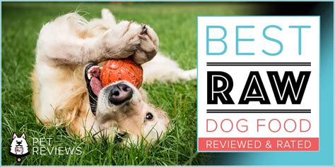 11 Best Commercial Raw Dog Food Brands (Fresh, Frozen & Dehydrated) - 2023