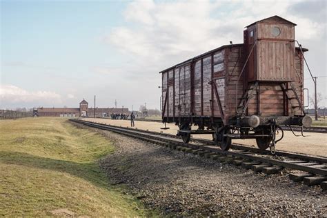 Auschwitz: A Window Into The Cruel Past | Fred.\ Holidays