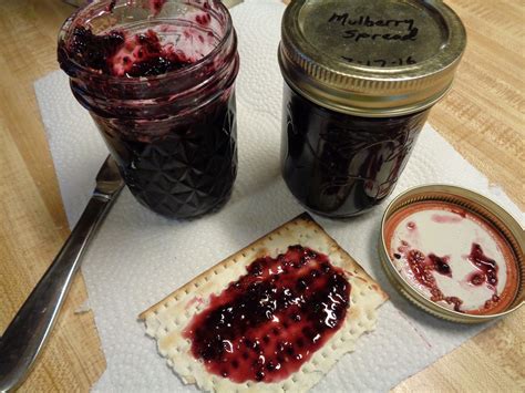 Tales From A Middle Class Kitchen: Mulberry Jam