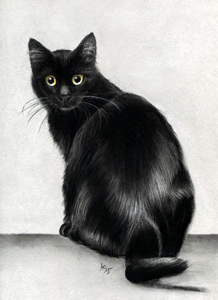 Charcoal Black Cat drawing by www.art-ist-art.blogspot.de | Cat drawing, Black cat drawing ...