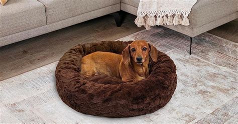 Calming Donut Dog Bed from $17.99 on Amazon (Reg. $35) | Over 50,000 5-Star Reviews | Hip2Save