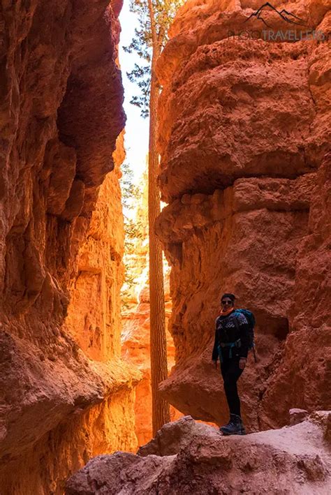 Bryce Canyon: Wanderung auf dem Navajo Loop Trail [mit Karte]