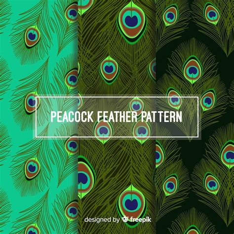 Premium Vector | Beautiful peacock feather pattern