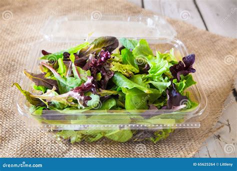 Salad Greens stock photo. Image of food, dieting, fresh - 65625264