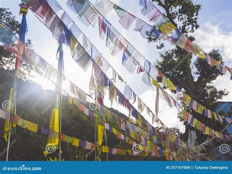 Buddhist Prayer Flags in Kathmandu, Nepal. Stock Photo - Image of ...