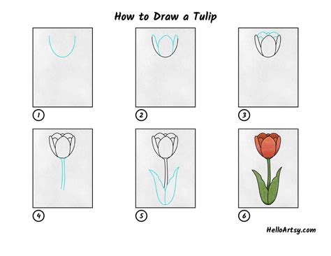 How To Draw A Tulip Really Easy Drawing Tutorial