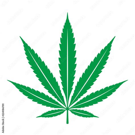 Marijuana vector cannabis leaf weed icon logo clip art illustration graphic vector de Stock ...