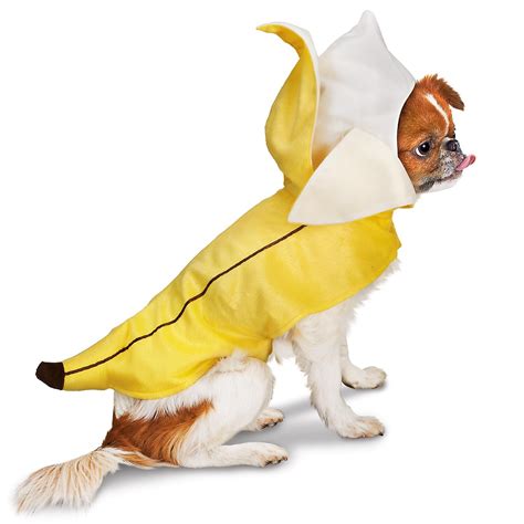 Petco Banana Halloween Dog Costume for my "Annie ba-nannie" | Pet halloween costumes, Dog ...