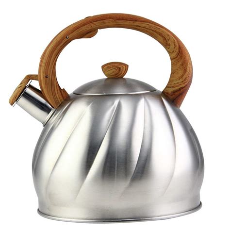 Best Stainless Steel Stove Top Tea Kettle – Home Appliances