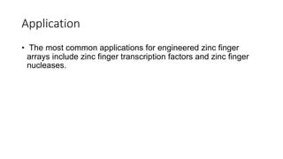 Zinc finger protein | PPT