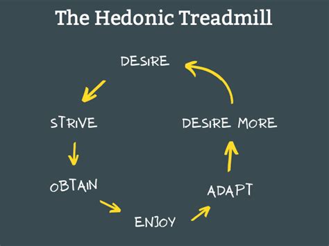 Hedonic Adaptation — On Optimizing the Pursuit of Happiness