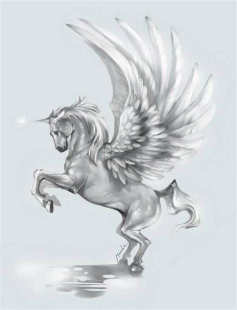 Unicorn Pegasus Pegasus Drawing, Pegasus Tattoo, Pegasus Art, Pegasus Unicorn, Wings Drawing ...