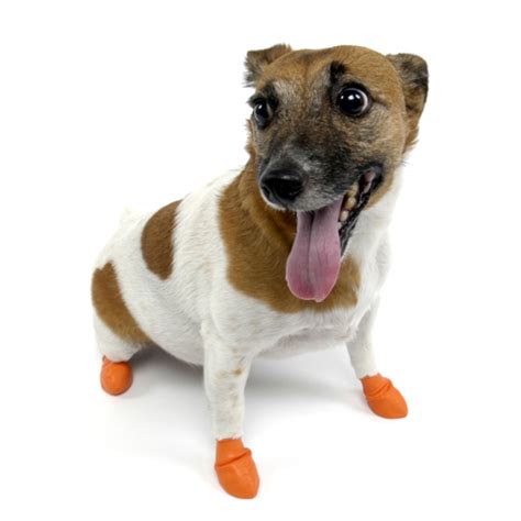 PawZ Disposable Dog Booties 12pk - X-Small Orange | BaxterBoo