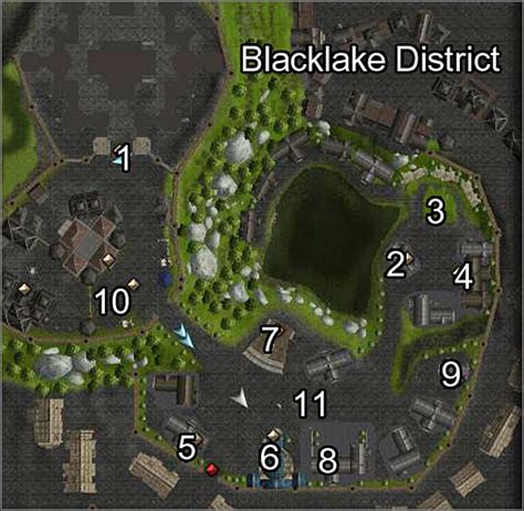 Map: Blacklake (N3) | The trial - Neverwinter Nights 2 Game Guide ...