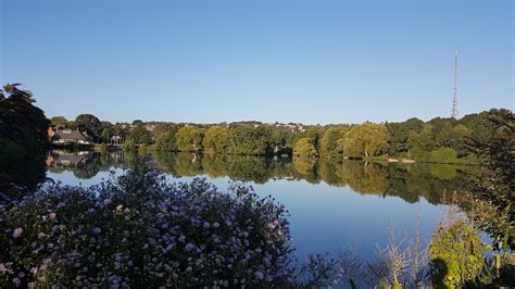 2Wheel Chick: Daily photo - 18: Another day another run - at South Norwood Lake