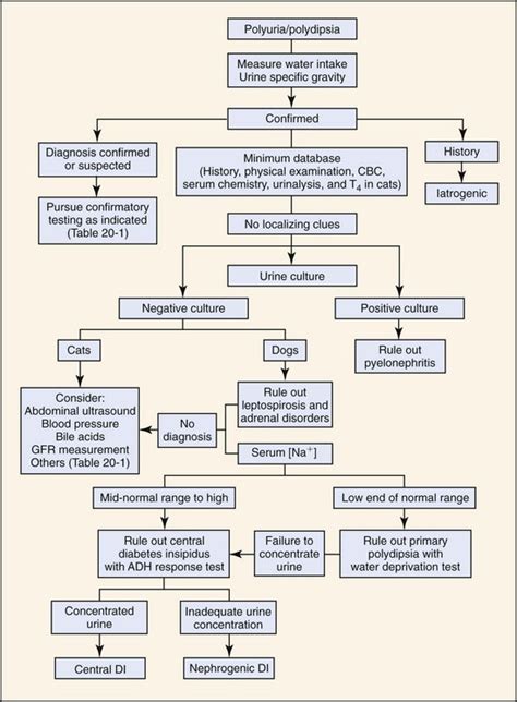 Polyuria and Polydipsia | Veterian Key