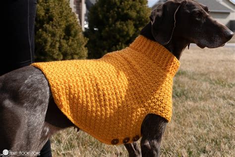 Large Dog Sweater CROCHET PATTERN - Etsy Canada