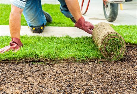 Affordable Sod Installers - Residential Sod Installation