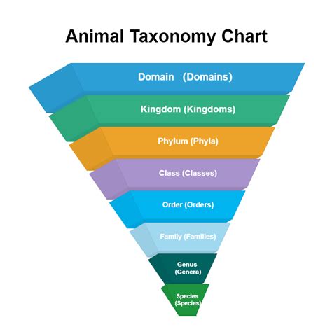 Animal classification taxonomy edrawmax editable template – Artofit