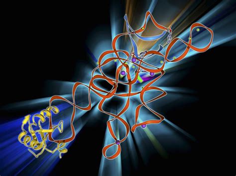 12 Unbelievable Facts About mRNA Splicing - Facts.net