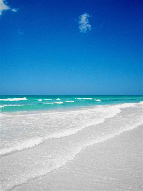 Siesta Key Resorts | Florida beaches, Siesta key beach, Beach