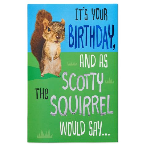 American Greetings Funny Squirrel Birthday Card with Foil - Walmart.com - Walmart.com