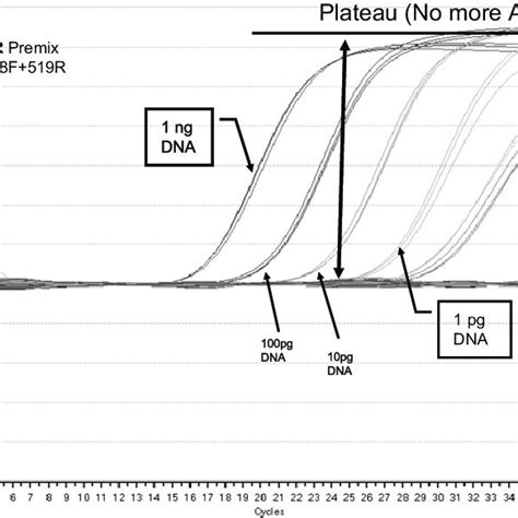 Real-time PCR amplification curve. | Download Scientific Diagram