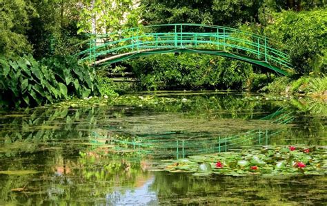 Latour-Marliac where Monet's water lilies were grown - The Good Life France