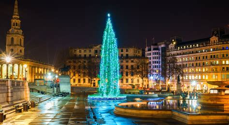 The Trafalgar Square Christmas tree has arrived: here’s the exact light-up date and time