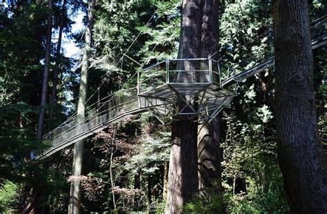 Greenheart Treewalk, UBC Botanical Garden | University of Br… | Flickr