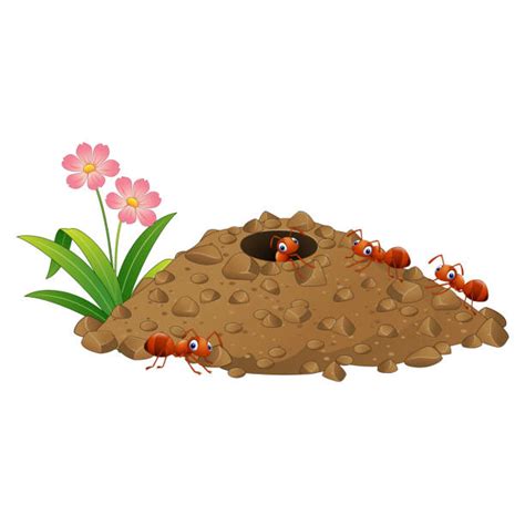 clip art ant hill 20 free Cliparts | Download images on Clipground 2024