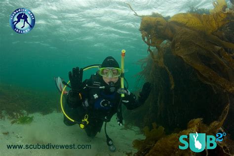 Diving in Ireland - the Island of Contrasts | Scuba Diving Blog