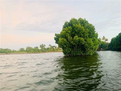 Sasthamkotta Lake (Kollam) - 2020 All You Need to Know BEFORE You Go (with Photos) - TripAdvisor