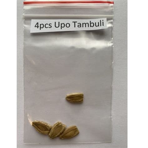 Upo Tampuli Seeds, Bottle Gourd Seeds, Vegetable Seeds, Variety#005 ...