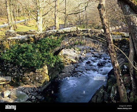 LLANBEDR GWYNEDD NORTH WALES UK April Narrow packhorse bridge over the ...