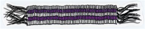 Two-Row Wampum Belt | People's History Archive