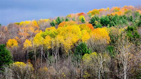 Best Vermont Fall Foliage Drives