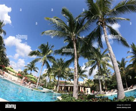 A day at the beach Stock Photo - Alamy