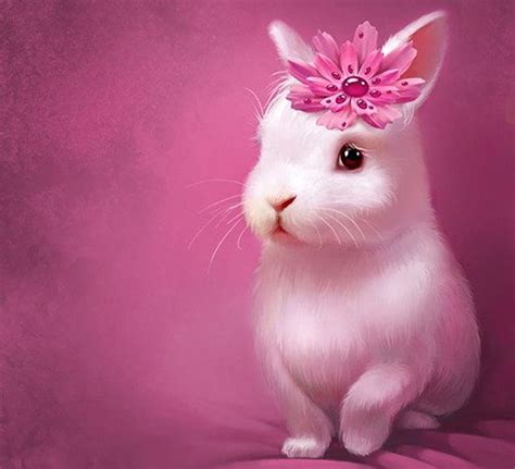 Cute Bunny, cute white baby rabbit HD wallpaper | Pxfuel