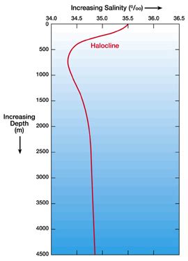 Standard Salinity Profile - Windows to the Universe