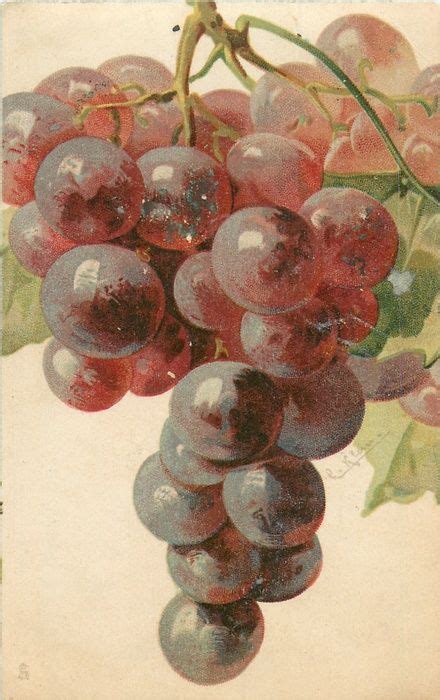 GRAPES reddish purple Grape Painting, Fruit Painting, China Painting ...