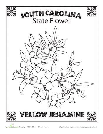 South Carolina State Flower Coloring Page Coloring Pages