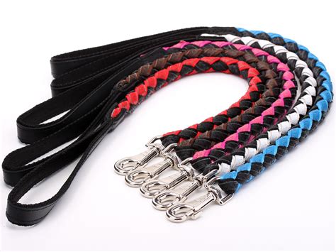 Braided Leather Dog Lead - assorted colours