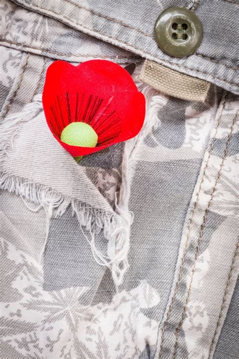 Red Poppy is a Symbol of Thailand Veterans Day Stock Photo - Image of ...